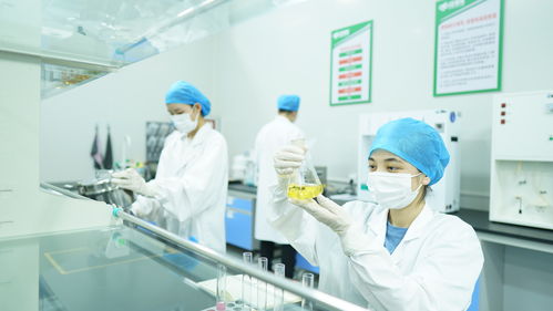 疆果果健康食品研究院獲評(píng)自治區(qū)級(jí)企業(yè)技術(shù)中心，引領(lǐng)健康食品產(chǎn)業(yè)創(chuàng)新發(fā)展