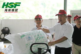 李明泉總裁深入云南海膠調研，指導推進現代化網站建設與數字化轉型